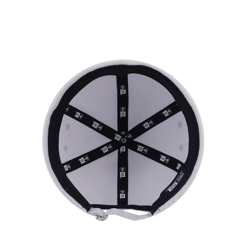 Skully Washed Skully Men's Caps - Silver Snow